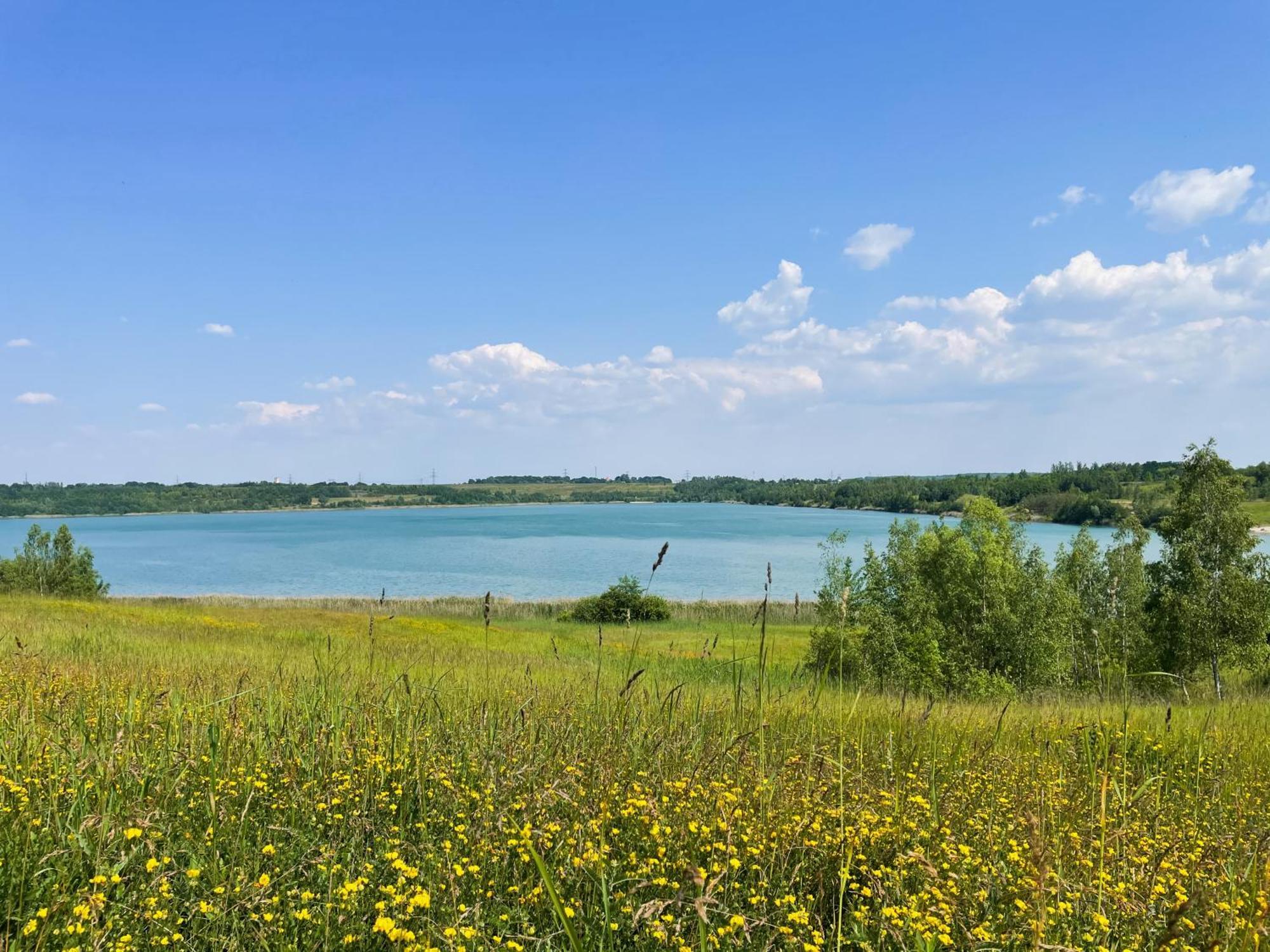 Haus Im Schilf 2 - Ferienwohnungen Am Hainer See Bei Leipzig Neukieritzsch Eksteriør bilde